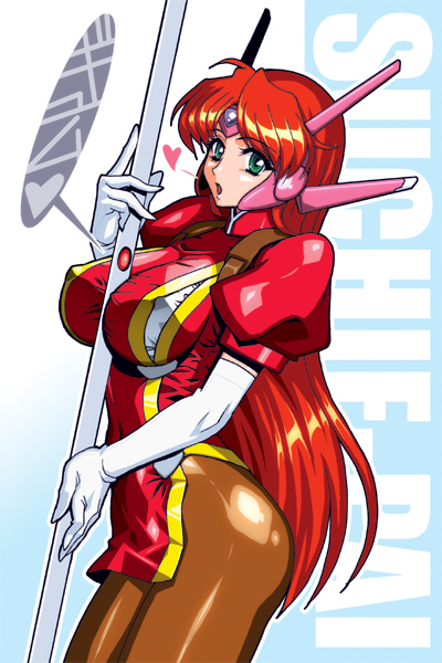 �X�[�`�[�p�C